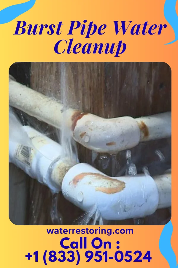Burst Pipe Water Cleanup in Veedersburg, IN