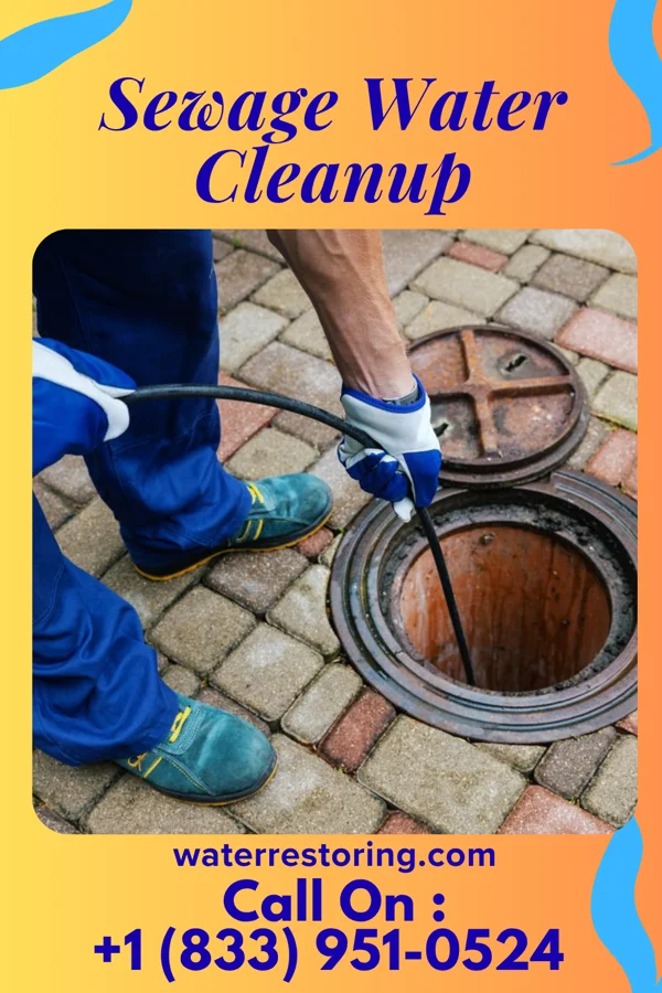 Sewage Water Cleanup in Veedersburg, IN